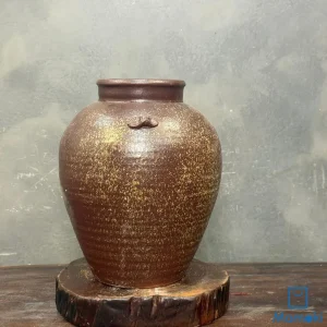 Bình Gốm Men Khô Nâu Ánh Vàng Dáng Phình