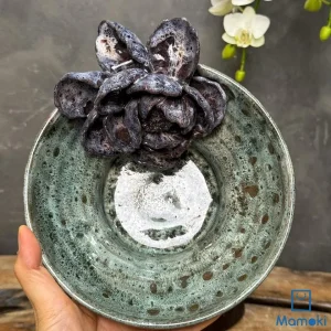 Đĩa Gốm Men Hỏa Biến Gắn Hoa Sen Tím