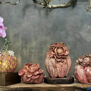 Bộ bình gốm men khô hoa sen hồng kèm đèn decor