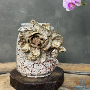 Bình gốm men rạn hoa sen trắng nâu cổ điển