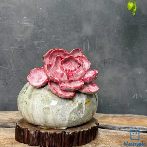 Bình Gốm Men Khô Dáng Bệt "Hồng Liên Tỏa Thạch" - Hoa Đắp Nổi 3D Sắc Hồng Đào