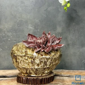 Bình Gốm Men Khô Dáng Đá Vát "Huyết Liên Mộc Thạch" - Hoa Đắp Nổi 3D Phủ Tuyết
