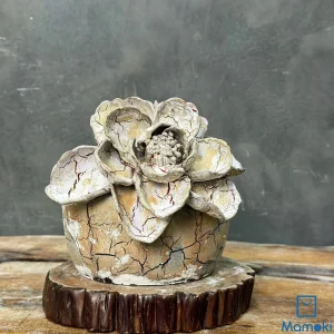 Bình Gốm Men Khô Dáng Bệt "Bạch Liên Sa Thạch" - Hiệu Ứng Đất Nẻ & Hoa Đắp Nổi 3D