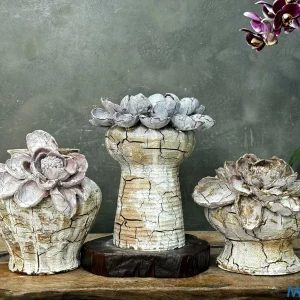 Bộ Chậu Gốm Men Khô "Bạch Sa Phấn Liên" - Hiệu Ứng Đất Nẻ Cực Đại & Hoa Đắp Nổi 3D