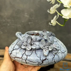 Chậu Gốm Men Khô Dáng Bệt "Thanh Thạch Tiểu Liên" - Hiệu Ứng Nẻ Khô & Cụm Hoa Leo 3D