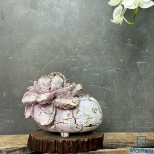 Chậu Gốm Men Khô Dáng Đá Cuội "Viên Thạch Tử Liên" - Hiệu Ứng Nẻ Khô & Hoa Đắp Nổi 3D